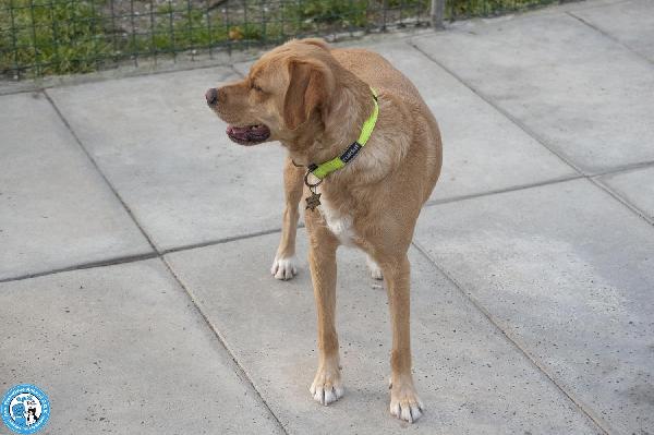 Washy: cercasi umano disposto a farsi rubare il cuore Foto 6